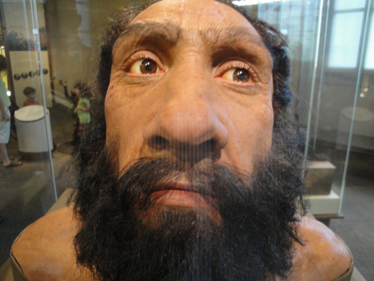 Se busca mujer para parir a un Neanderthal