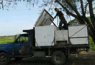 GN decomisó 1300 kg de pescado en Apure