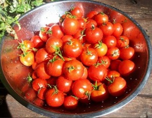Estas son las cinco razones para comer más tomates