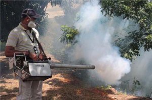 Disminuyen casos de dengue en Aragua