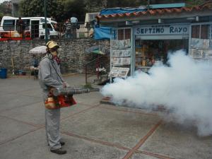 En Miranda continúa vigilancia epidemiológica para prevenir proliferación de dengue