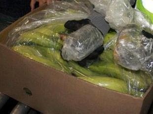 Cien kilos de cocaína ocultos entre plátanos en mercado español