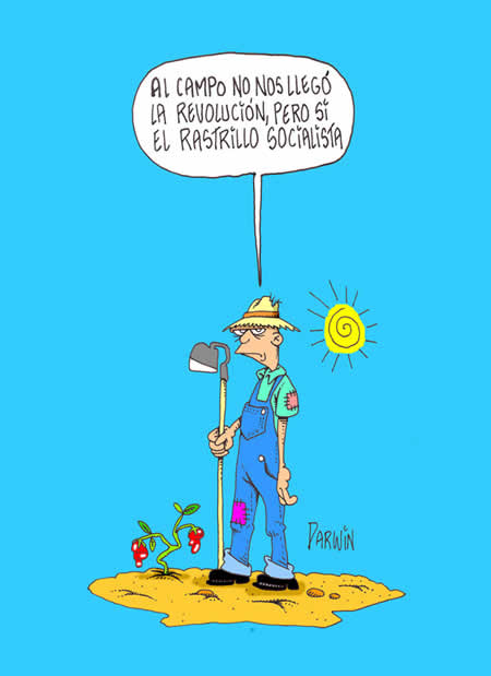 Caricaturas del domingo 19 de mayo de 2013