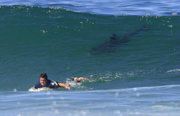 Surfista fue mordido por tiburón en Ecuador