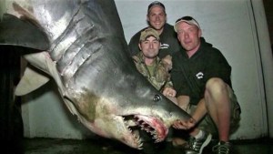 Fueron de pesca y terminaron con un tiburón de tres metros (Fotos)