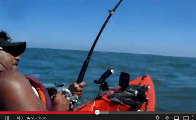 Tentando a la muerte, pescar tiburones en Kayak (Video)