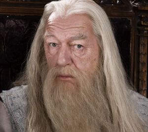 ¿Sabías que el profesor Albus Dumbledore es gay?