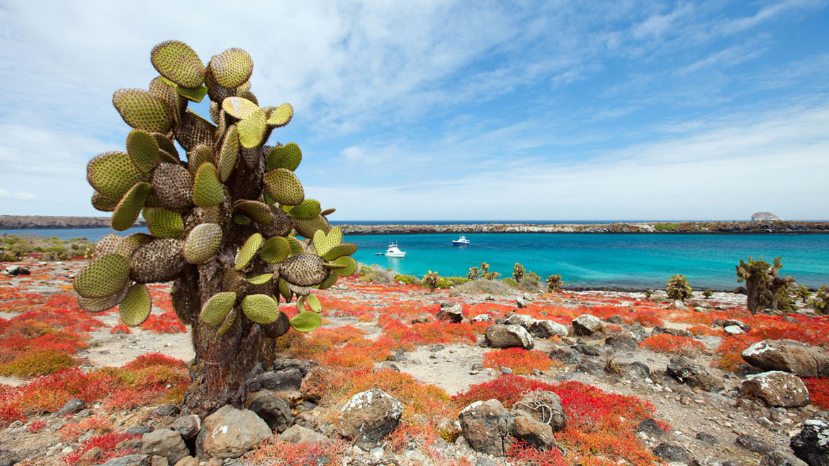 Primer aeropuerto verde del mundo: Islas Galápagos