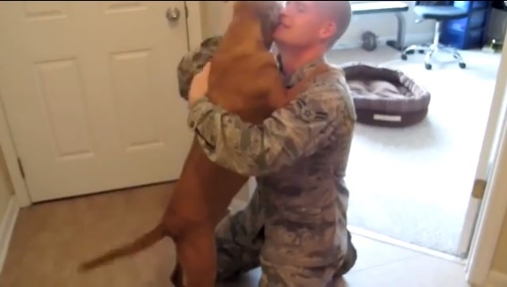 La tierna reacción de un perro al ver a su dueño después de dos años (Video)