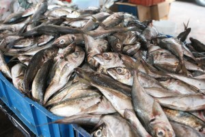El precio del pescado ha subido hasta 75% en los últimos tres meses