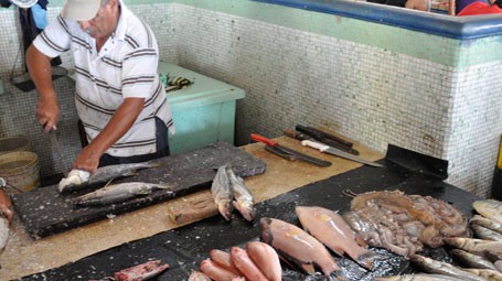 Garantizan pescado para Semana Santa en la isla