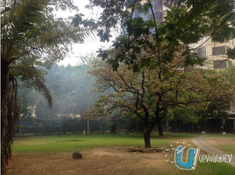 Explotaron dos niples en la facultad de Arquitectura de la UCV  (Foto)