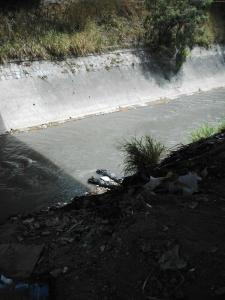 Hallan dos cadáveres en el río Guaire (Foto)