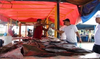 Pese a escasez de carne, ventas de pescado están “por el suelo”