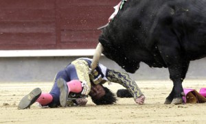 Muere hombre arrollado por un toro en rodeo