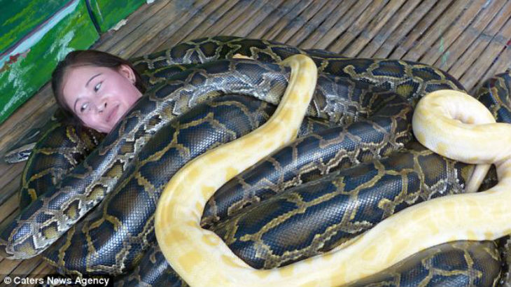 ¿Necesitas un masaje? Estas simpáticas serpientes te lo podrán dar (Fotos)