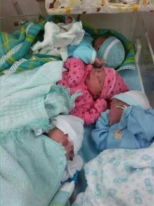 ¡Insólito! Cuatro bebés comparten incubadora en Hospital Central de Barquisimeto (Foto)
