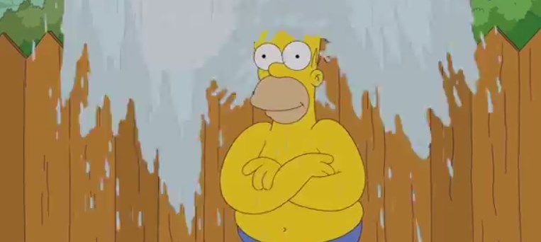 Homero Simpson se unió al #IceBucketChallenge (Foto + Video)