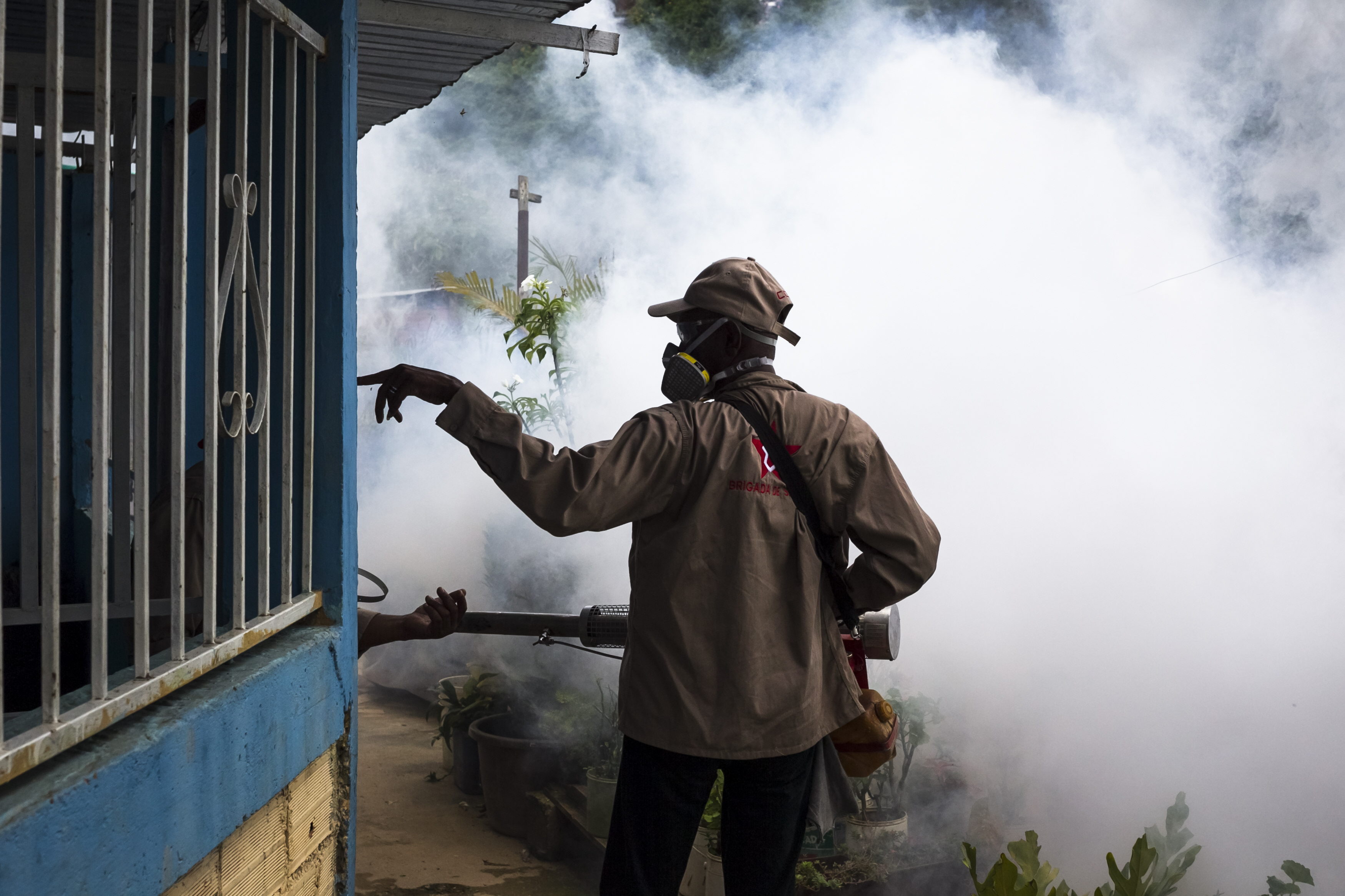 Virus del Chikungunya aumenta en Venezuela por vulnerabilidad