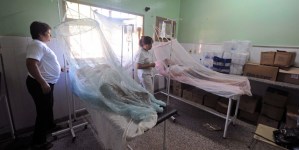 Venezolano diseña trampa contra el zancudo del chikungunya