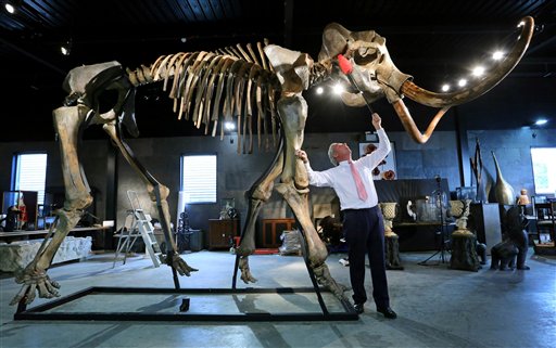 Subastan esqueleto de mamut por 300.000 dólares
