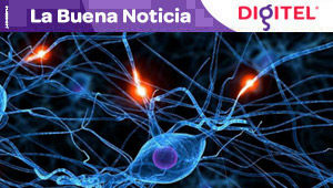 Investigadores descubren una terapia celular contra la demencia