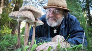 Este hombre cree que la clave para la supervivencia de la humanidad está en estos simples hongos (Video)