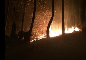 El Avila sigue ardiendo (Fotos)