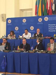 Activistas abuchean a Alejandro Fleming en la OEA