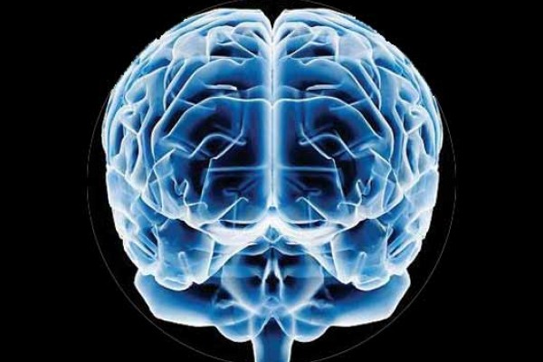 El cerebro es el que construye el dolor de otras partes del cuerpo (Estudio)