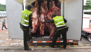 Caída del bolívar afecta a productores de carne y leche de Cúcuta