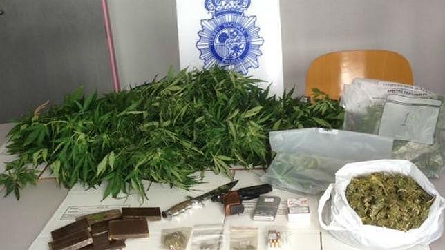 Le dio una paliza a su hijo porque se le olvidó regar las matas de marihuana