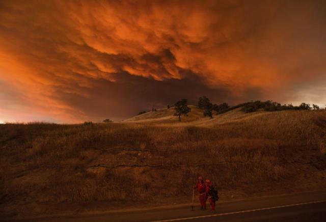 Bomberos trabajan en las labores de extinción del incendio forestal declarado en Clearlake en California, Estados Unidos ayer, domingo 2 de agosto de 2015. Un grave incendio en el noroeste de California (EEUU) causó un muerto y forzó la evacuación de unas 12.000 personas este fin de semana, mientras que más de 9.000 bomberos seguían combatiendo hoy dos decenas de fuegos en todo el estado, que atraviesa desde hace meses una notable sequía. Al menos 21 incendios seguían activos la tarde del domingo en todo el estado, incluido un fuego en el norte de estado que duplicó su tamaño durante la noche del sábado. EFE/Noah Berger