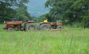 Sicad adjudicó $150 millones a 102 empresas del sector agrícola