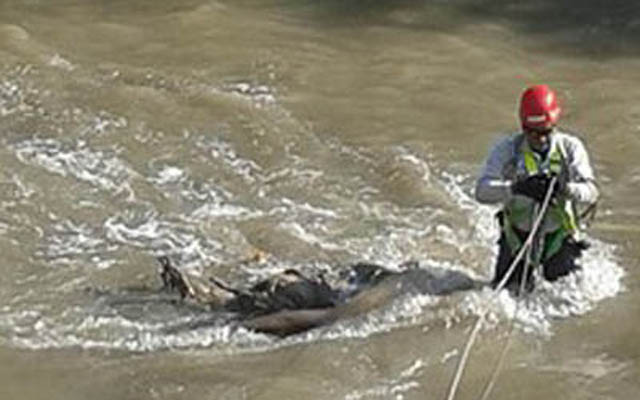 Hallan cadáver en el río Guaire