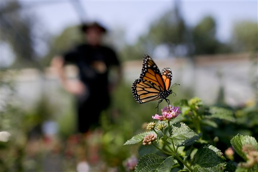 (Foto AP/Gregory Bull)