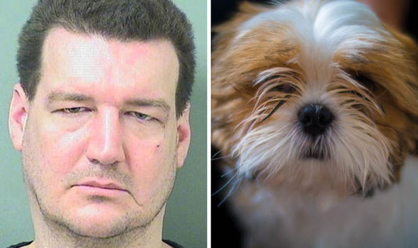 Hombre es condenado a un año de prisión por morder a un perro