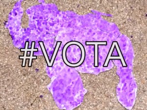 #VOTA y no lo dejes morir… el Norte del Sur (VIDEO)