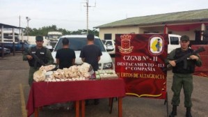 Detienen a un chino y un venezolano en Zulia por comercio ilegal de buches de pescado
