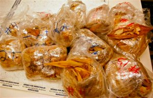 Confiscan 450 tamales en el aeropuerto de Los Angeles (Foto)