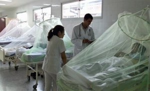 Muertes por brote de dengue suben a 54 en Perú en 2017