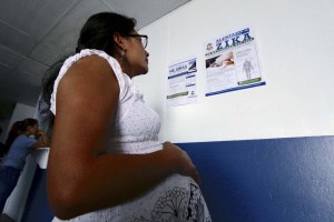 Un estudio confirma la presencia del virus Zika en el cerebro de bebés en gestación