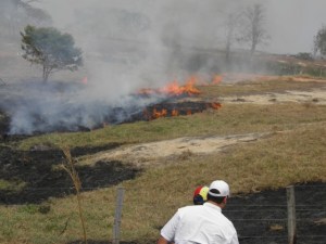 “El incendio en la Sierra de Perijá afecta la producción nacional y la población indígena”