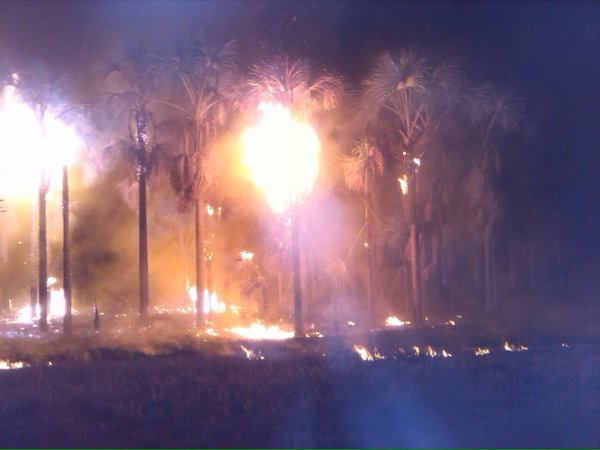 Fuerte incendio afectó al Parque La Llovizna en Puerto Ordaz