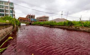 Un río en el norte de China se tiñe de rojo