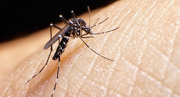 EEUU autoriza la primera prueba de una vacuna del zika en humanos