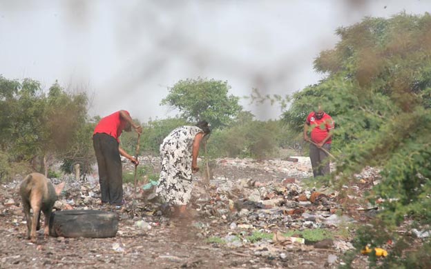 La basura: Una fuente de empleo en tiempo de crisis