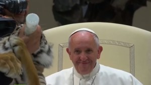 Mira el tremendo susto que pasó el Papa (VIDEO)