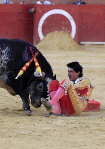 ¡Tamaña estupidez!… Españoles matarán a toda la familia del toro que mató al torero este sábado