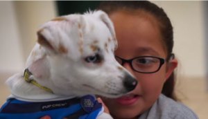 VIDEO: Esta niña se comunica con su perro en lenguaje de signos